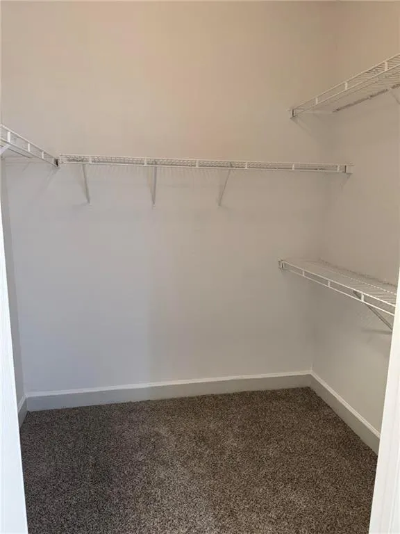 Walk in closet featuring dark colored carpet