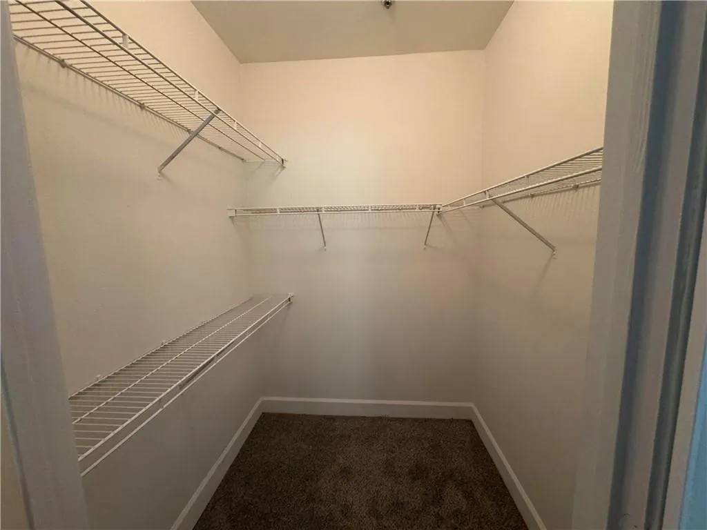 Spacious closet featuring carpet flooring