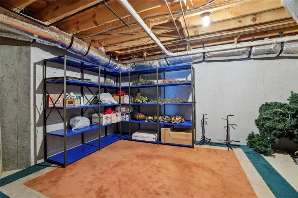 Fabulous basement storage
