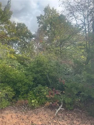View of local wilderness