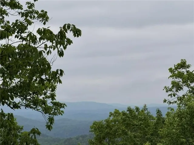 Views that are possible with some vista pruning