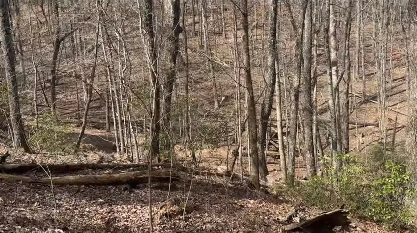 0 Valley View Drive, Jasper, Georgia 30143