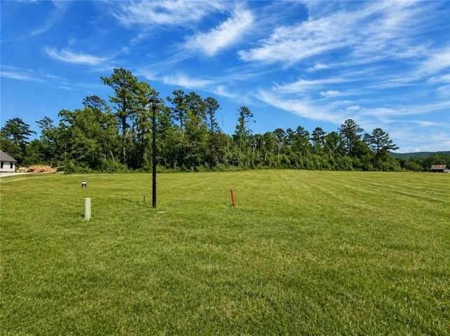 120 Palisade Drive, Rydal, Georgia 30171