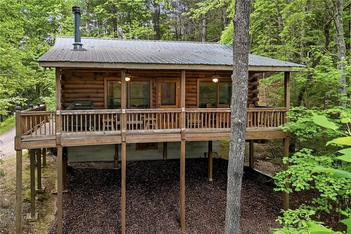 156 Dupont Drive, Blue Ridge, Georgia 30513