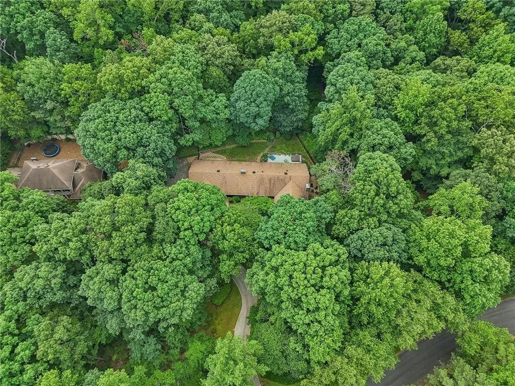 View of bird's eye view