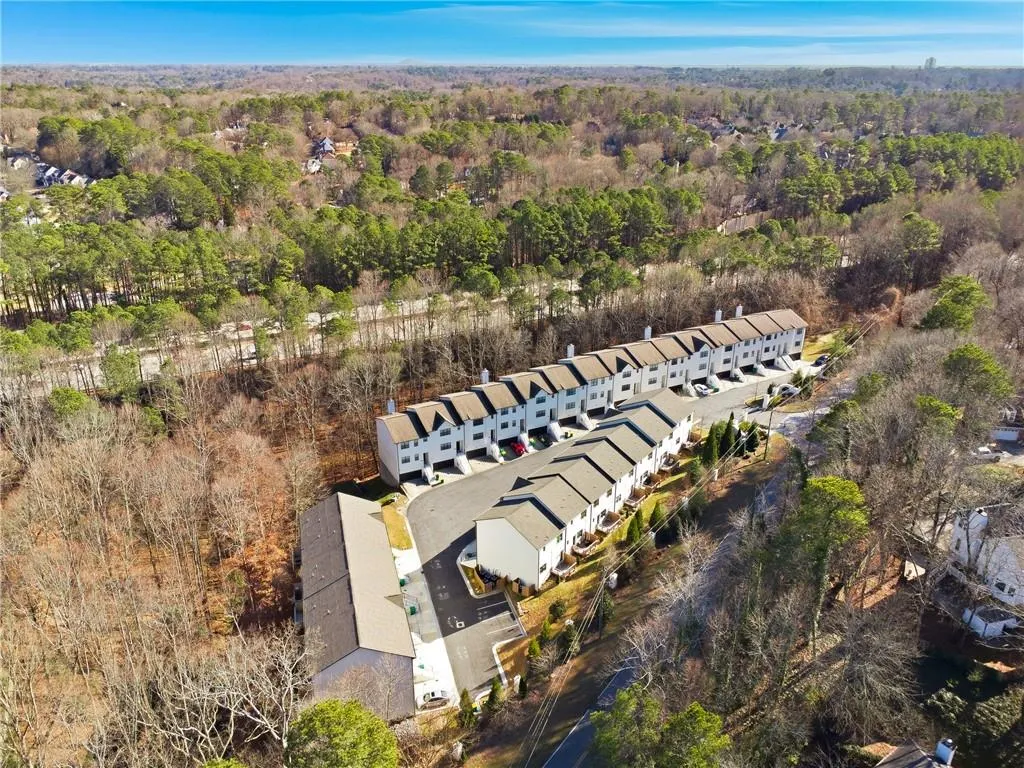 Bird's eye view of a forest