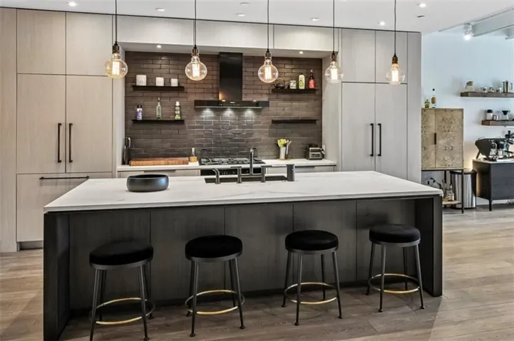 805 Peachtree Street Ne Unit 501, Atlanta, Georgia 30308