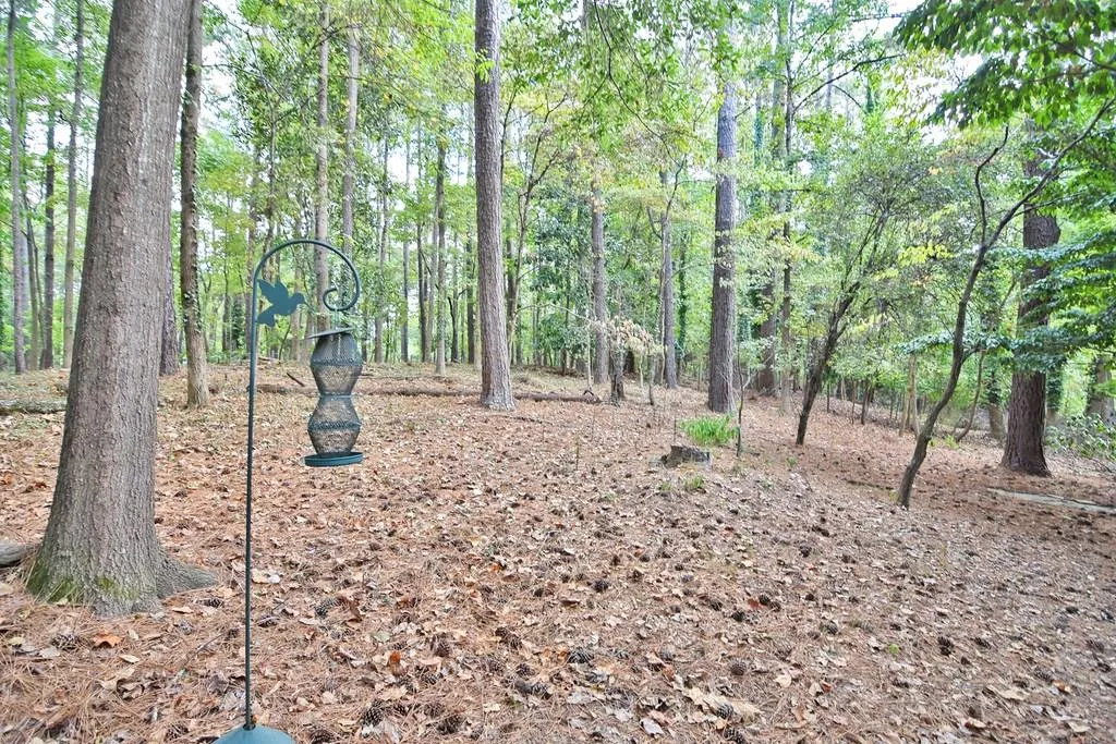 8110 Winged Foot Drive, Sandy Springs, Georgia 30350, 4 Bedrooms Bedrooms, ,4 BathroomsBathrooms,Residential,Sold,8110 Winged Foot Drive,6076130
