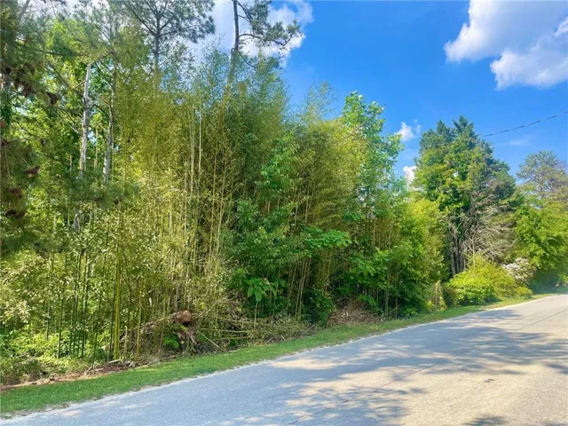 6236 Malibu Ridge, Flowery Branch, Georgia 30542