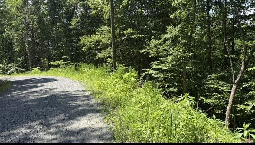 Lot 78 Omen Circle, Ellijay, Georgia 30540