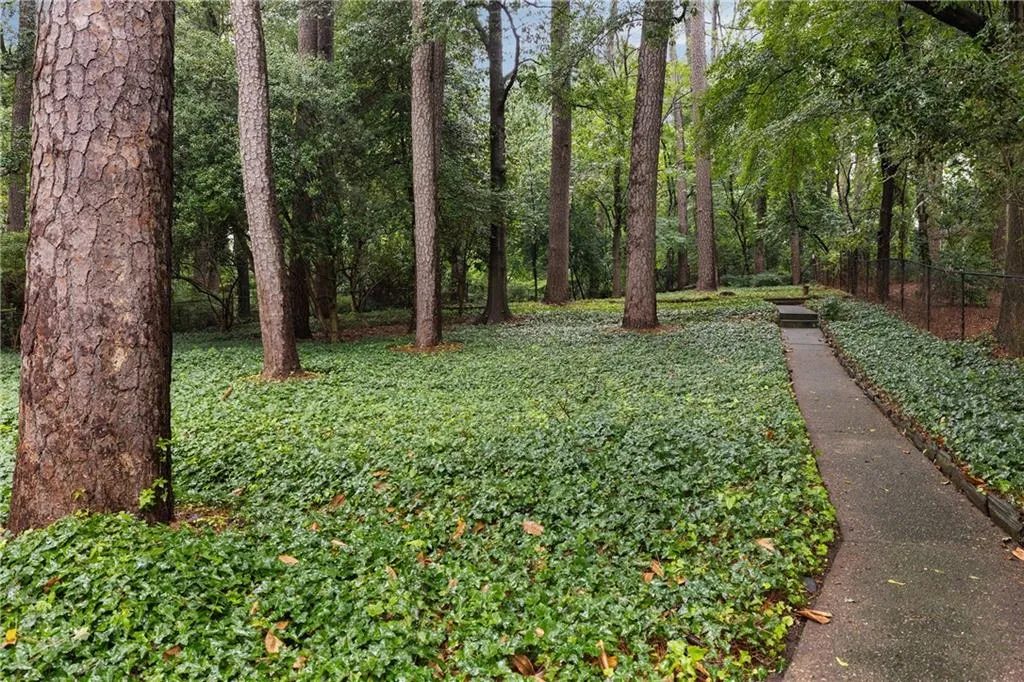 3916 E Brookhaven Drive Ne, Brookhaven, Georgia 30319, 5 Bedrooms Bedrooms, ,4 BathroomsBathrooms,Residential,For Sale,3916 E Brookhaven Drive Ne,7591909