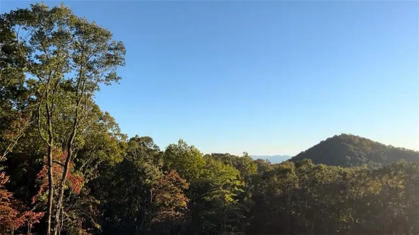 600 Kittatinny Drive, Mineral Bluff, Georgia 30559