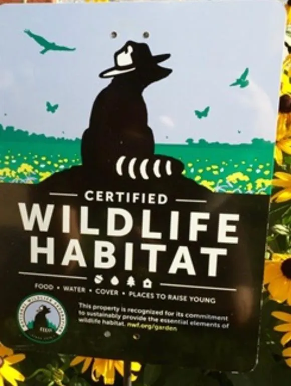 535 Valley Hall Drive, Sandy Springs, Georgia 30350, 4 Bedrooms Bedrooms, ,4 BathroomsBathrooms,Residential,Sold,535 Valley Hall Drive,7201613