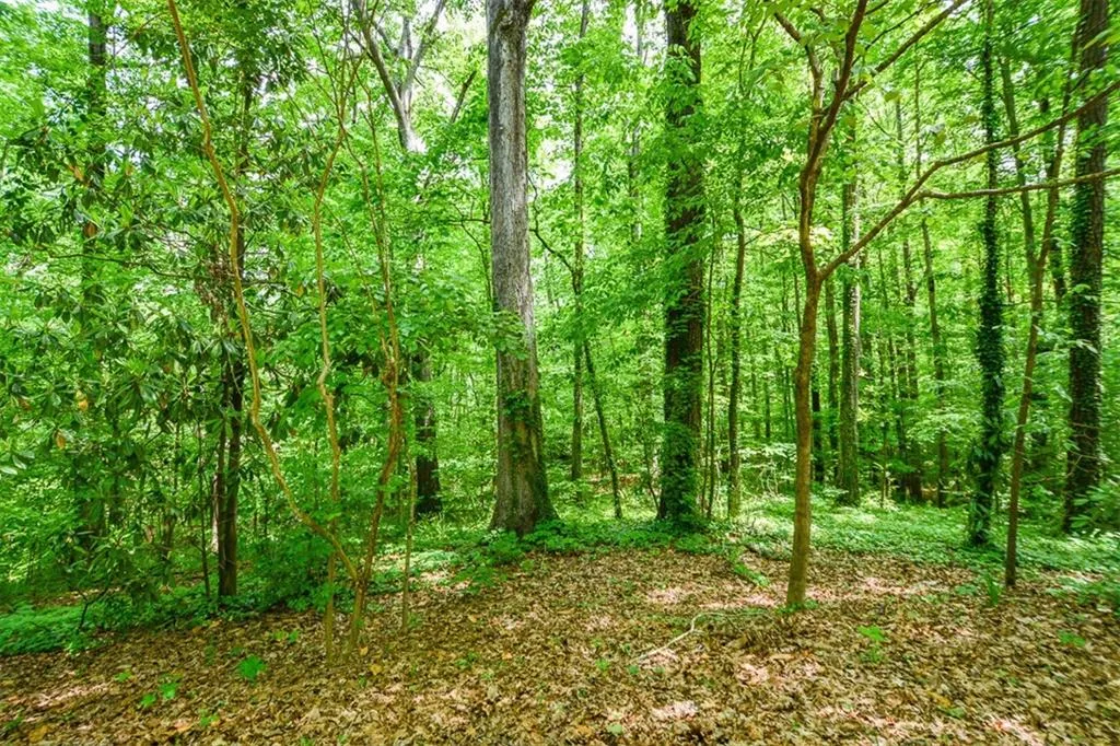 5051 Powers Ferry Road, Sandy Springs, Georgia 30327, 5 Bedrooms Bedrooms, ,4 BathroomsBathrooms,Residential,Sold,5051 Powers Ferry Road,6877928