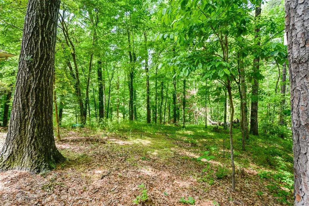 5051 Powers Ferry Road, Sandy Springs, Georgia 30327, 5 Bedrooms Bedrooms, ,4 BathroomsBathrooms,Residential,Sold,5051 Powers Ferry Road,6877928