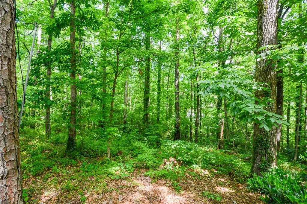 5051 Powers Ferry Road, Sandy Springs, Georgia 30327, 5 Bedrooms Bedrooms, ,4 BathroomsBathrooms,Residential,Sold,5051 Powers Ferry Road,6877928