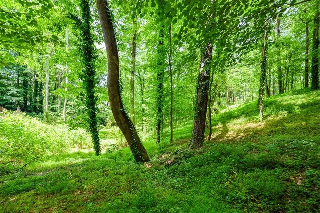 5051 Powers Ferry Road, Sandy Springs, Georgia 30327, 5 Bedrooms Bedrooms, ,4 BathroomsBathrooms,Residential,Sold,5051 Powers Ferry Road,6877928