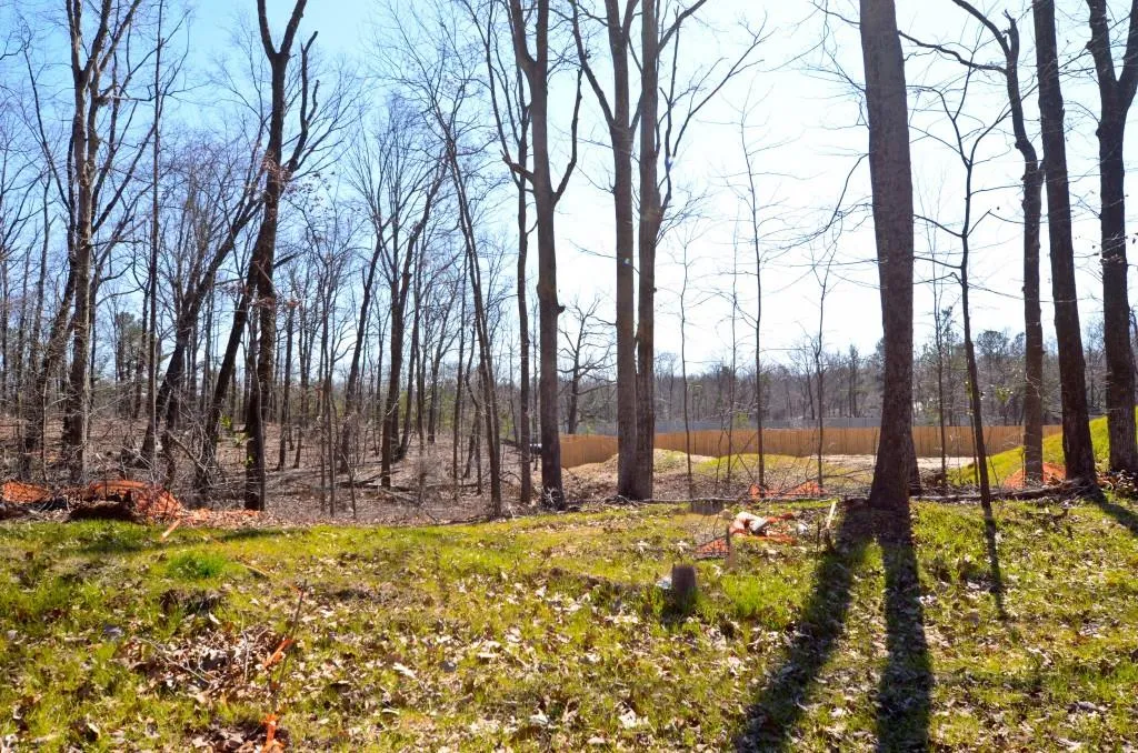 710 Bass Way, Sandy Springs, Georgia 30328, ,Land,Sold,710 Bass Way,5905614