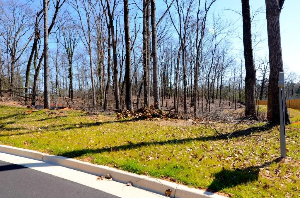 710 Bass Way, Sandy Springs, Georgia 30328, ,Land,Sold,710 Bass Way,5905614