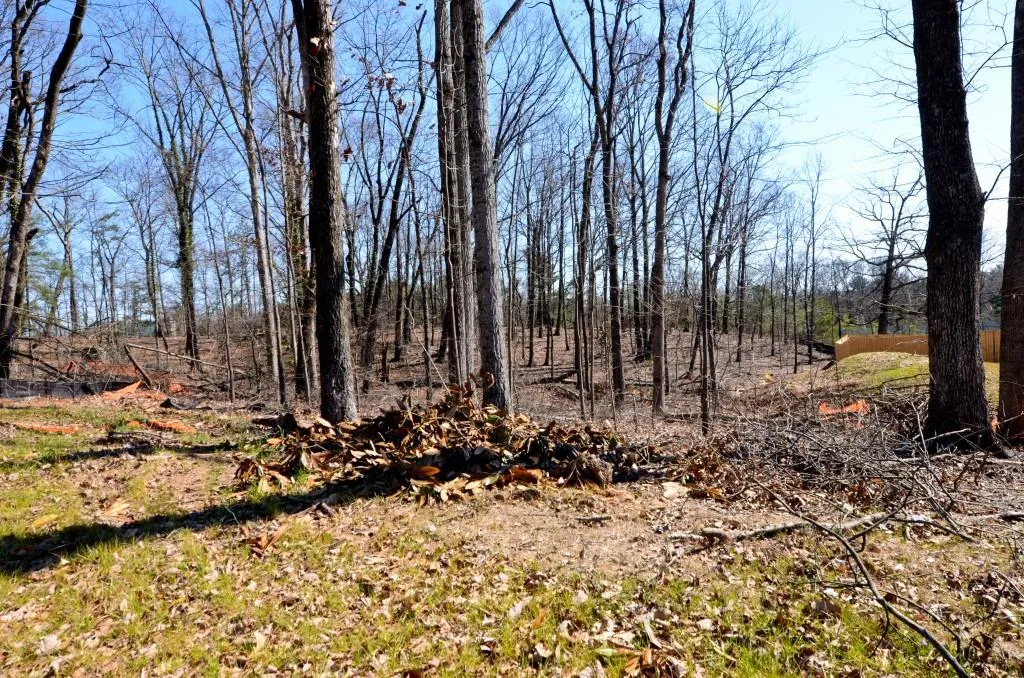 710 Bass Way, Sandy Springs, Georgia 30328, ,Land,Sold,710 Bass Way,5905614