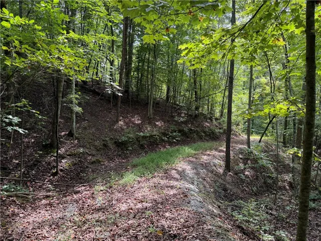 0 Fuller Mountain Road, Fairmount, Georgia 30139