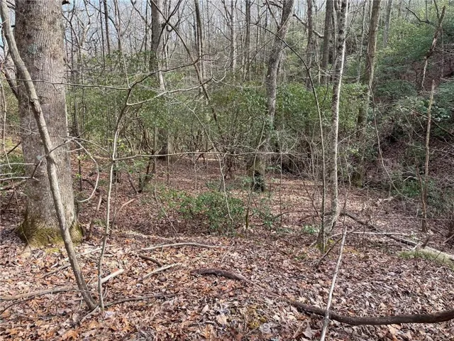 Lot 9f Renate Drive, Jasper, Georgia 30143