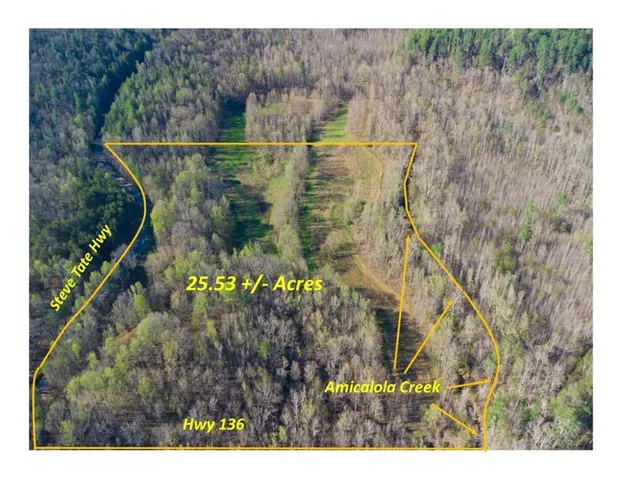 9031 Steve Tate Highway, Dawsonville, Georgia 30534