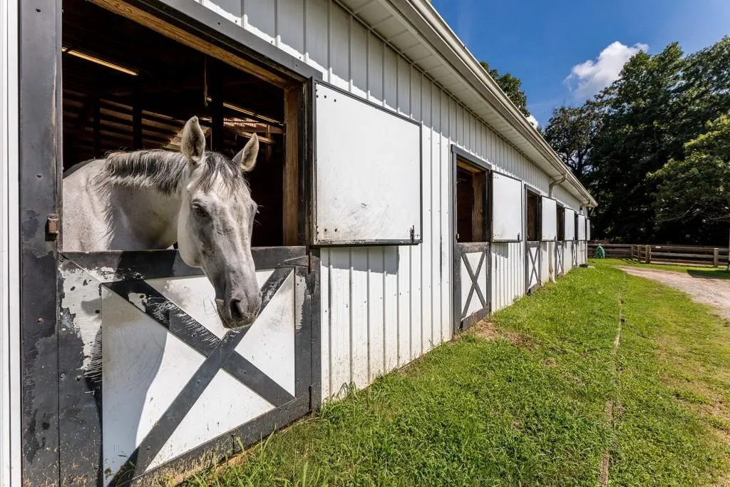 101 Mount Paran Road Ne, Atlanta, Georgia 30342, 4 Bedrooms Bedrooms, ,3 BathroomsBathrooms,Residential,Sold,101 Mount Paran Road Ne,7162763