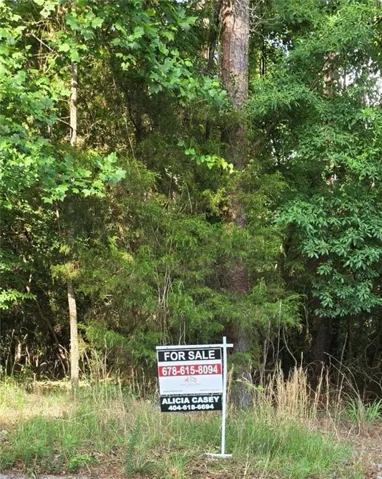 2399 Philadelphia Road, Conyers, Georgia 30012