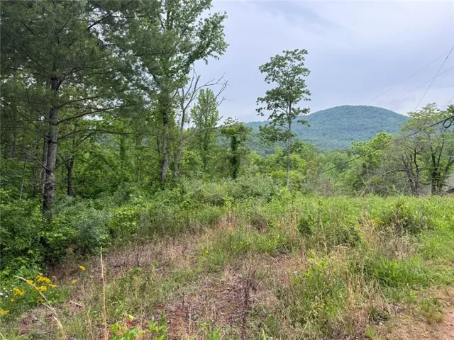 Lot 6d Meadow View Lane, Cleveland, Georgia 30528