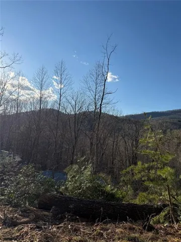 Lot 6d Meadow View Lane, Cleveland, Georgia 30528