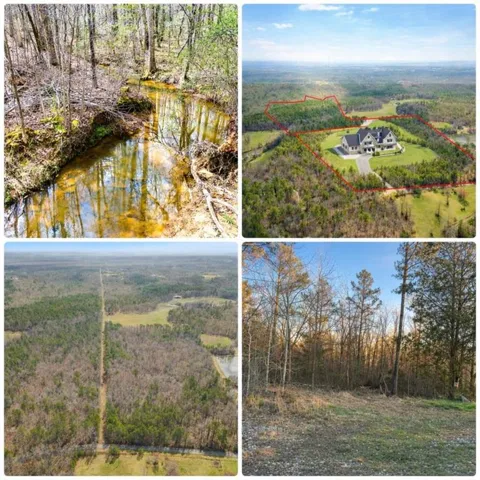 0 Clem Lowell Road, Carrollton, Georgia 30116