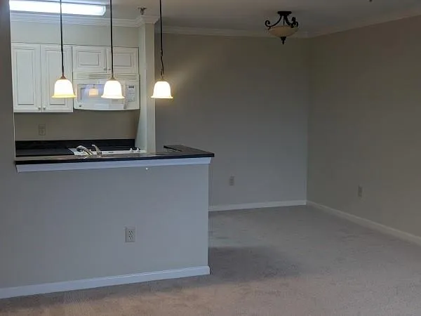 300 Johnson Ferry Road Ne Unit B705, Sandy Springs, Georgia 30328, 1 Bedroom Bedrooms, ,1 BathroomBathrooms,Residential,Sold,300 Johnson Ferry Road Ne Unit B705,7167025