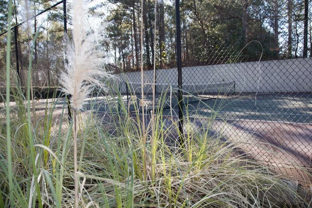 5157 Roswell Road Unit 4, Atlanta, Georgia 30342, 1 Bedroom Bedrooms, ,1 BathroomBathrooms,Residential,Sold,5157 Roswell Road Unit 4,5645697 5157 Roswell Road Unit 4, Atlanta, Georgia 30342, 1 Bedroom Bedrooms, ,1 BathroomBathrooms,Residential,Sold,5157 Roswell Road Unit 4,5645697