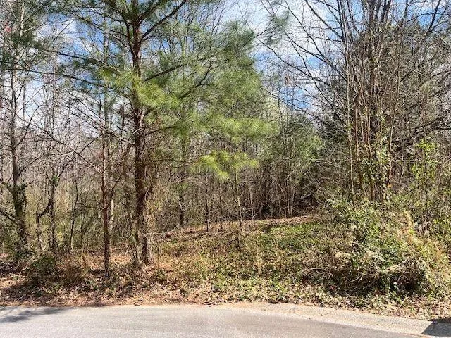 78 Heights Hollow, Acworth, Georgia 30101