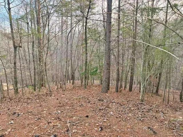 View of wooded area