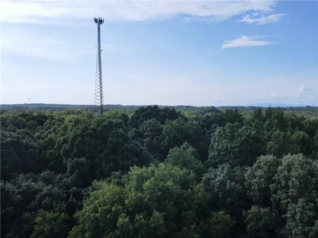 Cell Tower