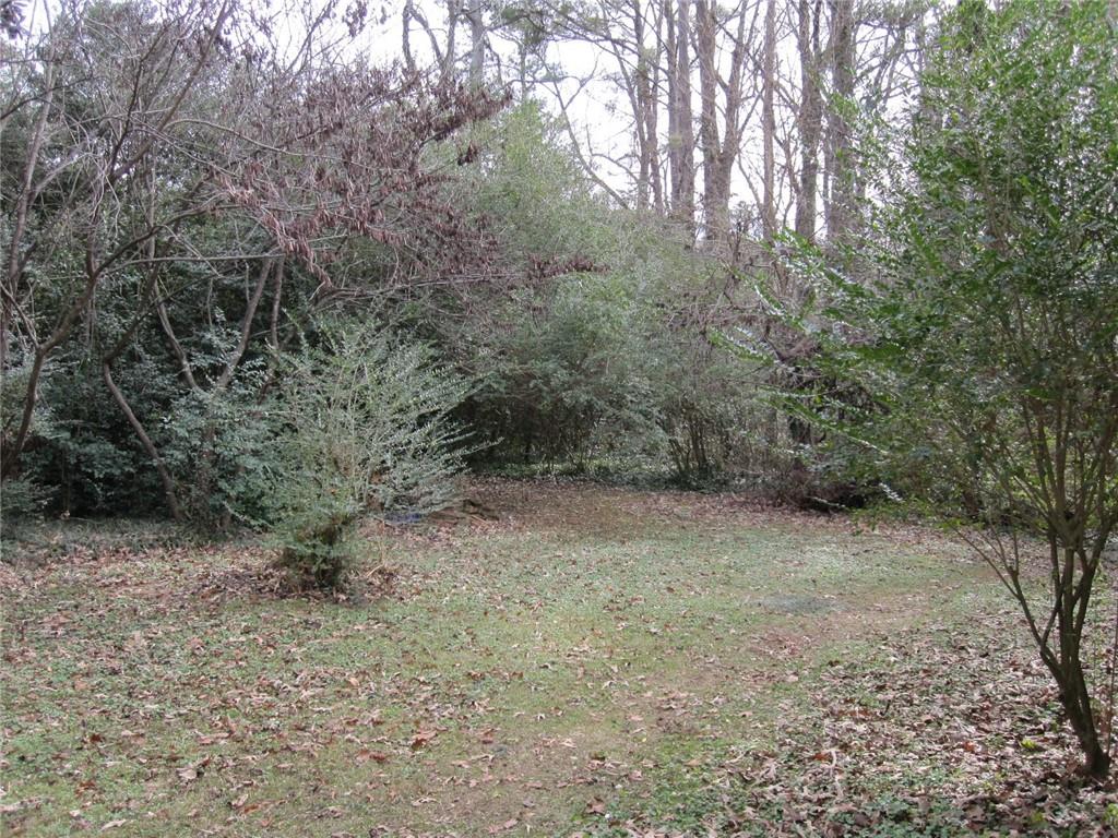 View of large, level wooded Backyard.