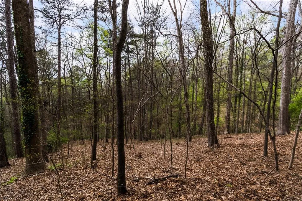 4890 Northside Drive Nw, Atlanta, Georgia 30327, 3 Bedrooms Bedrooms, ,3 BathroomsBathrooms,Residential,Sold,4890 Northside Drive Nw,6687833