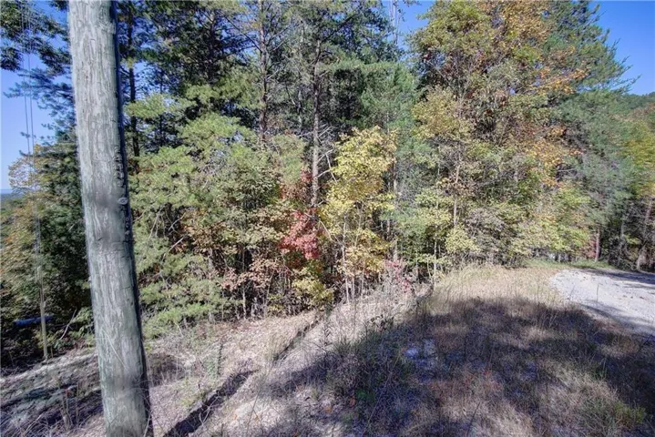 169 Jasmine Drive Ne, Ranger, Georgia 30734