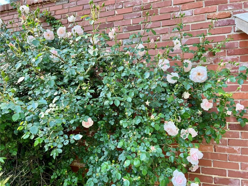 105 Silverwood Road Ne, Sandy Springs, Georgia 30342, 4 Bedrooms Bedrooms, ,2 BathroomsBathrooms,Residential,Sold,105 Silverwood Road Ne,7134846