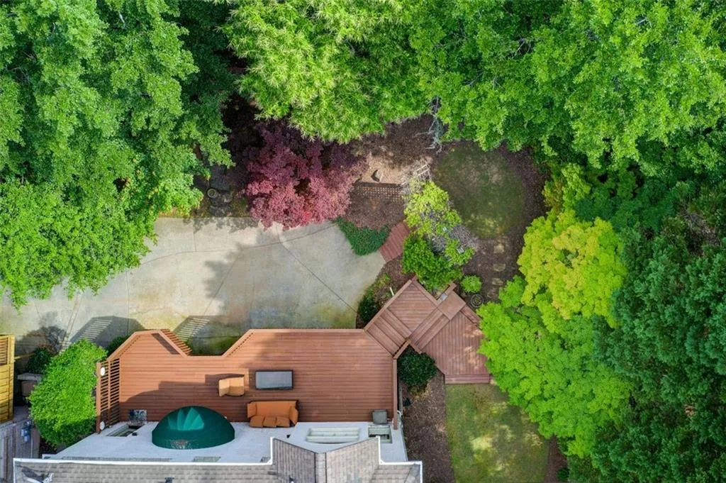 Backyard tree canopy