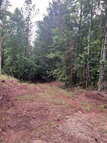 00 Dobbs Mountain Road, Villa Rica, Georgia 30180