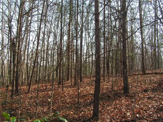 0 Mount Pleasant Church Road, Cleveland, Georgia 30528