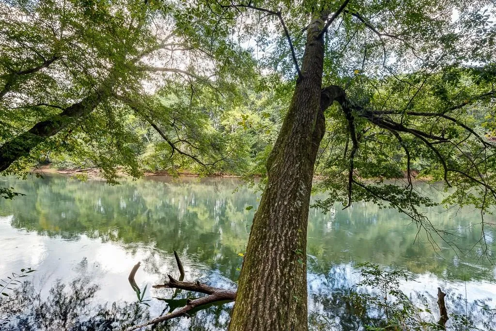 7315 Chattahoochee Bluff Drive, Sandy Springs, Georgia 30350, 4 Bedrooms Bedrooms, ,3 BathroomsBathrooms,Residential,Sold,7315 Chattahoochee Bluff Drive,5594345