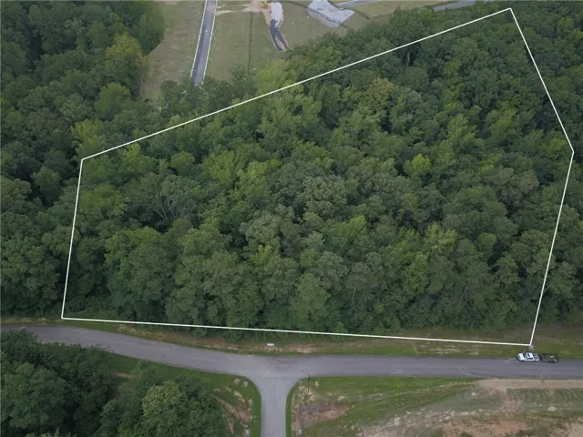 View of property location with a forest and property parcel outlined