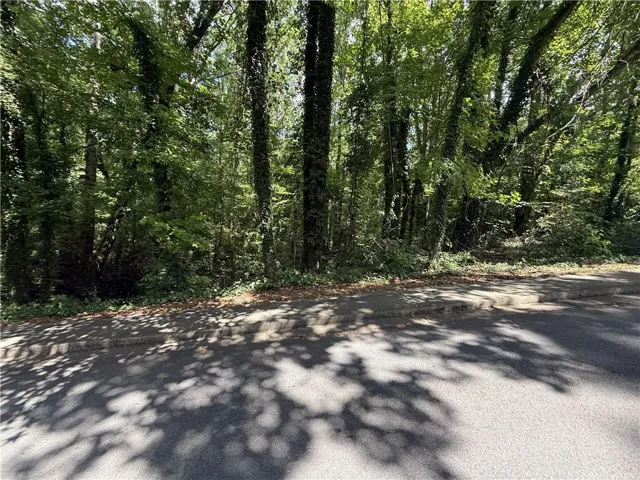 View of road featuring a forest view