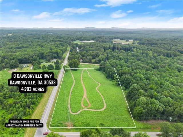 Expansive 4.903-acre parcel featuring green ground cover and a natural tree line