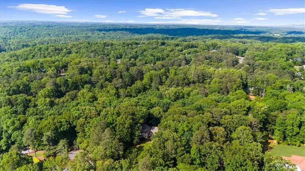 Aerial view of a forest