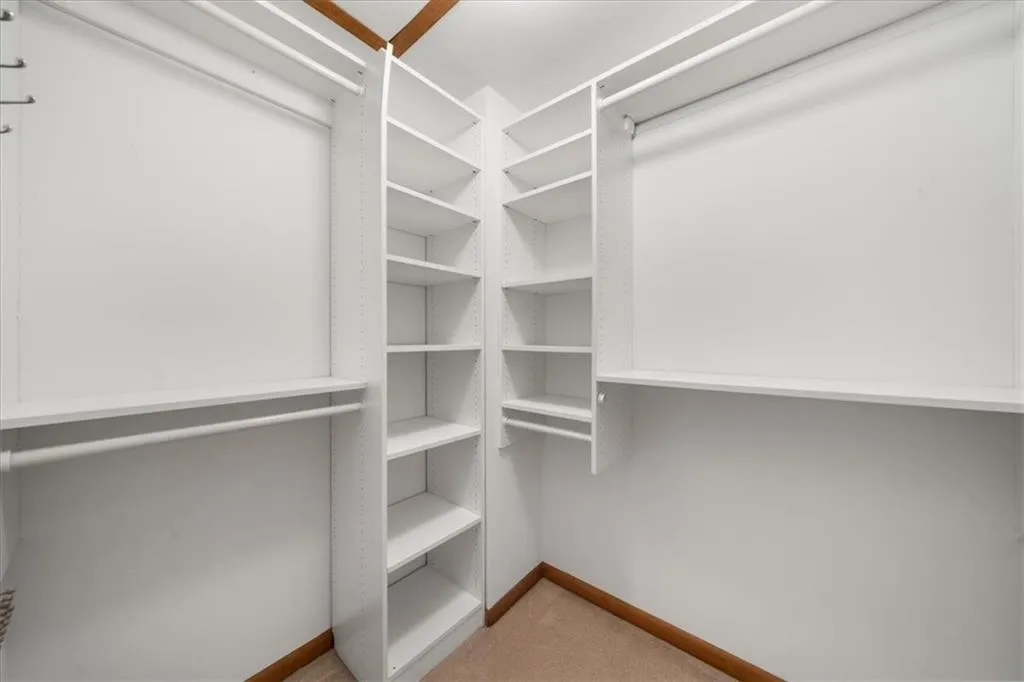 Walk in closet featuring carpet floors